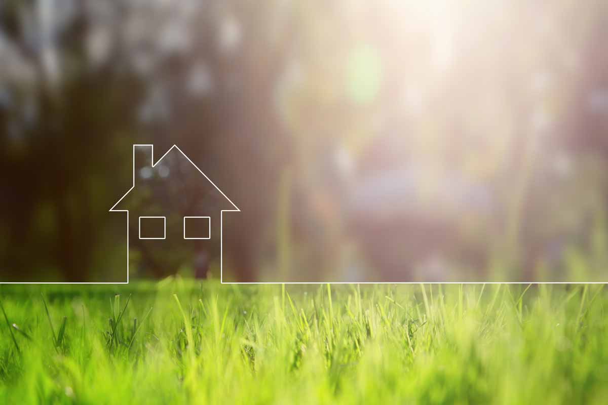 Fine-line graphic of a house on green grass on a sunny day